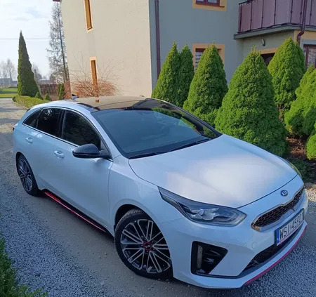 siedlce Kia Pro_cee'd cena 114800 przebieg: 79350, rok produkcji 2020 z Siedlce